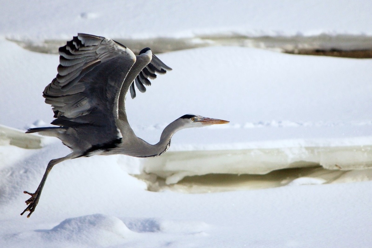 4cc97a9e-0004-4781-9b10-5c78f2156b06