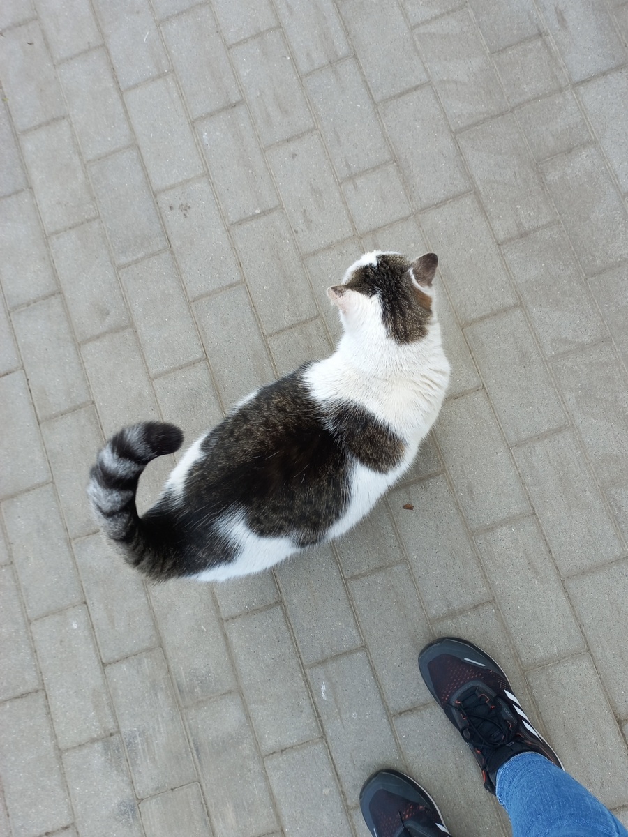 7b139aab-3edf-4314-af93-7a2440810221