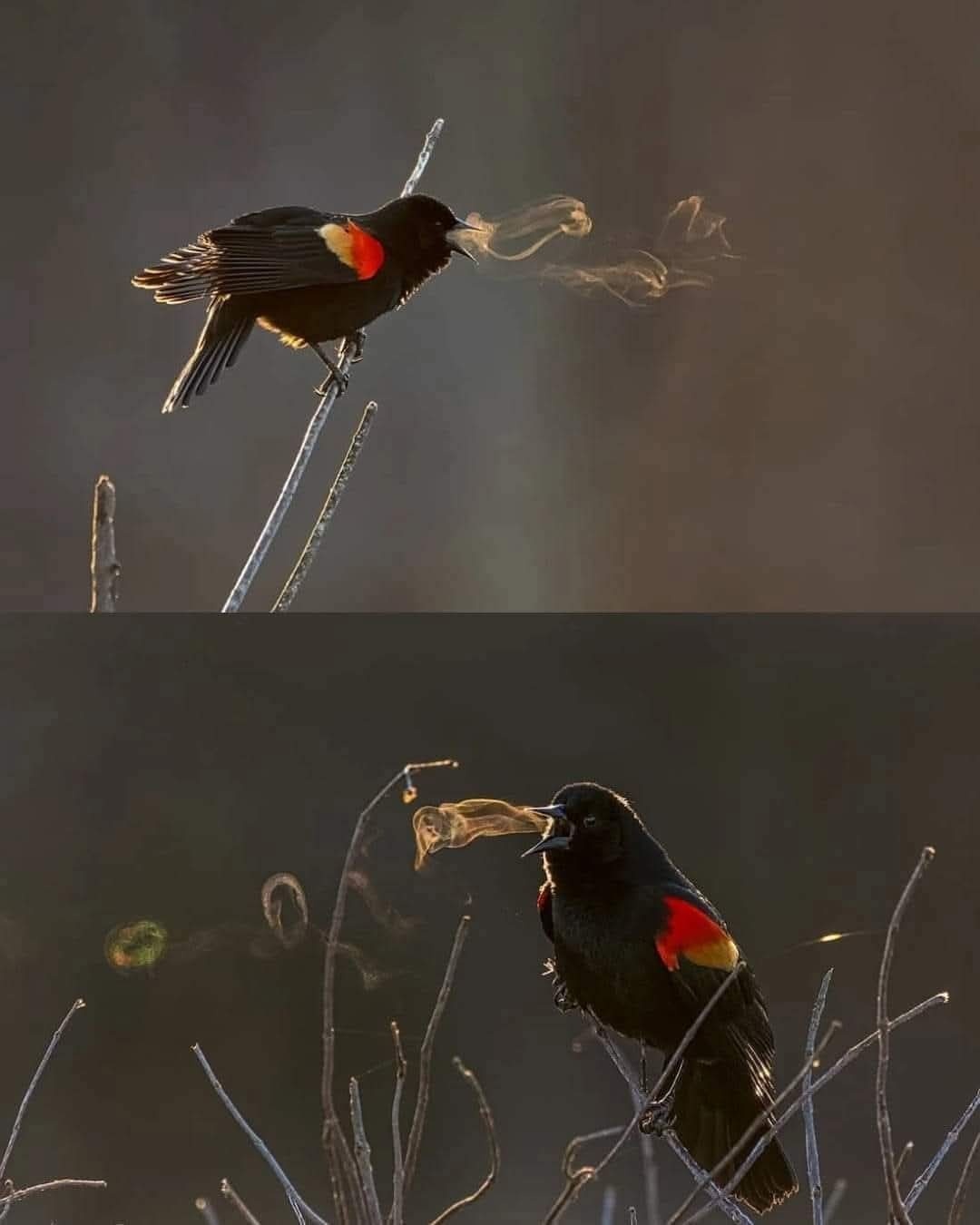 7cbbabfd-0e90-4bba-828e-0bba780f6ada