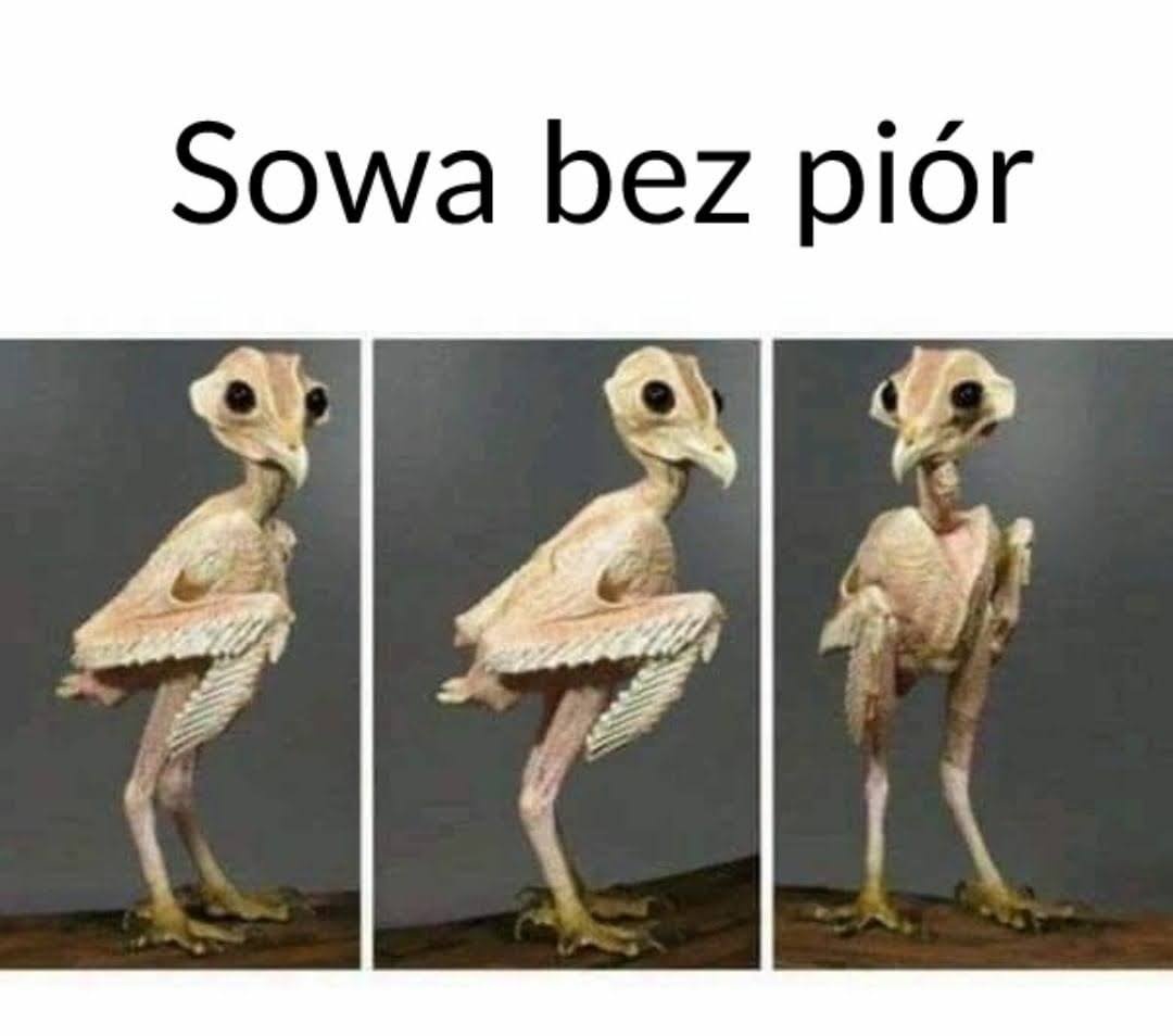 c092468d-1d49-4d78-a980-a9a805b91891