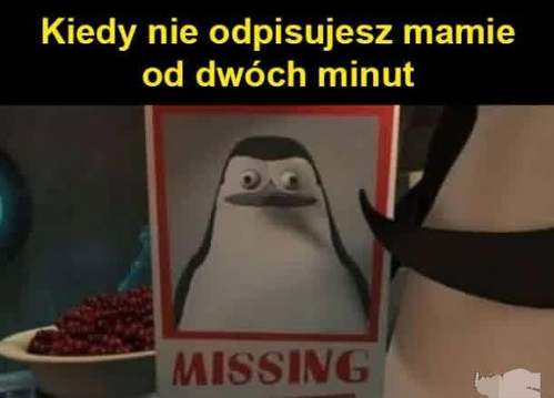 e164c39a-1ad3-4482-9927-86a8ddb29eb9