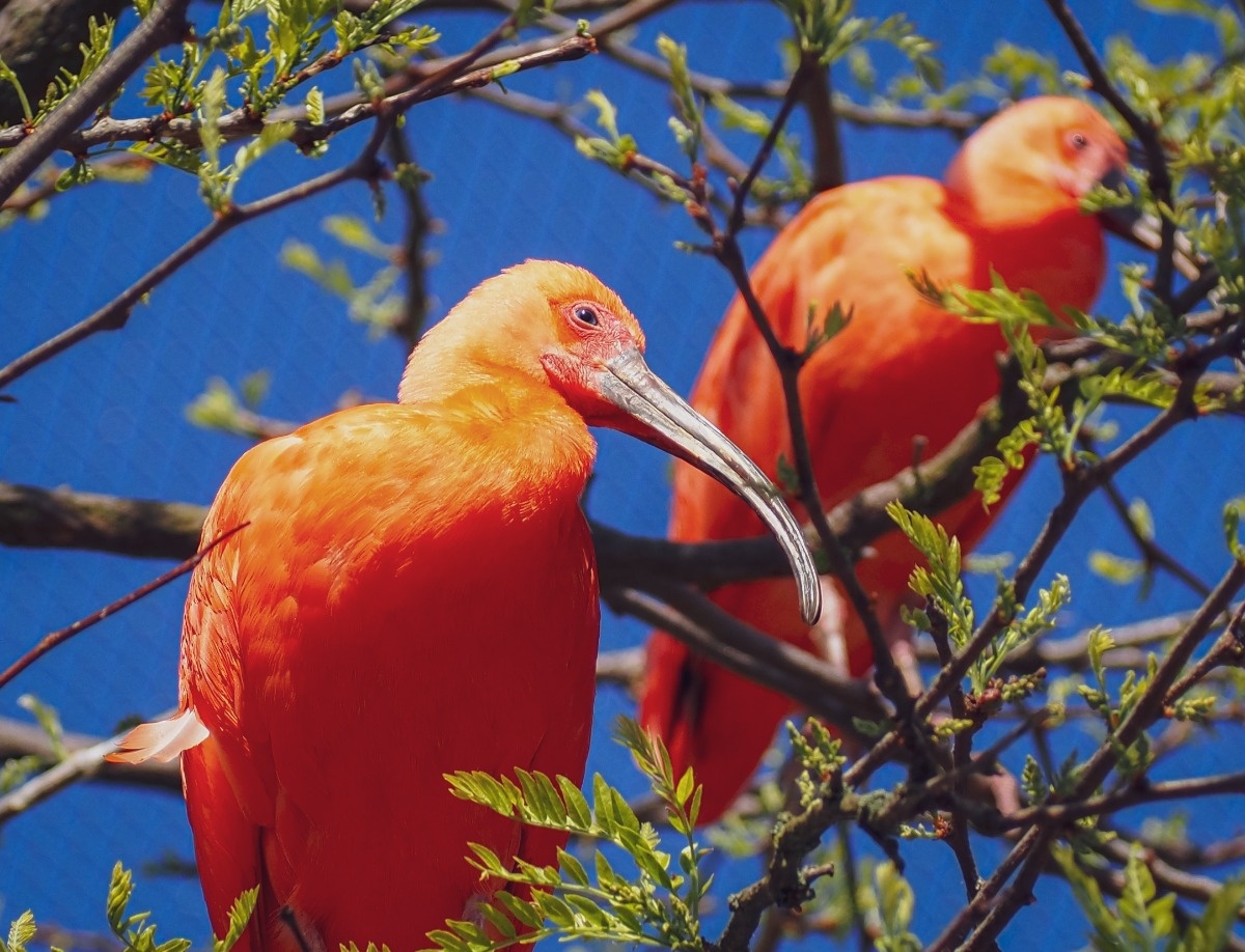 b786e666-7ccc-4026-aebd-5ddb2ad5f599