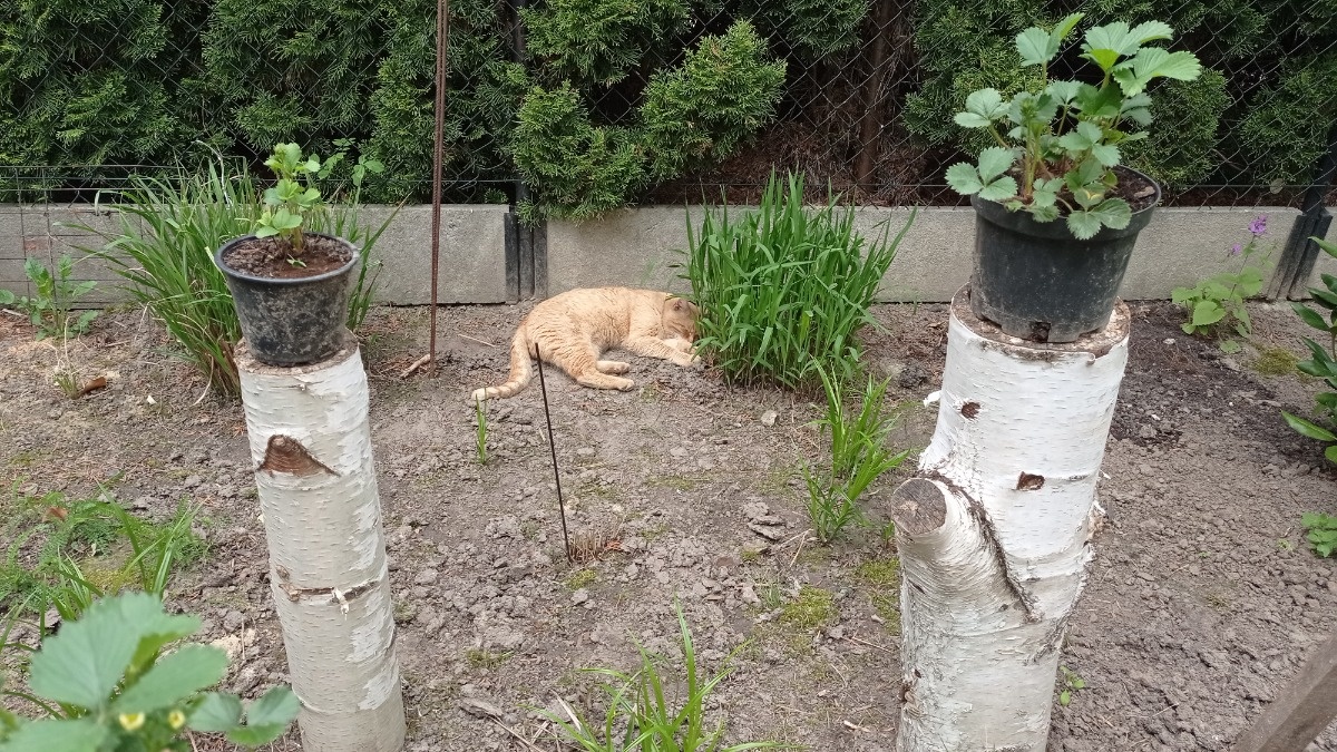 6664706e-ffec-456b-9af7-7e1d9d57babd