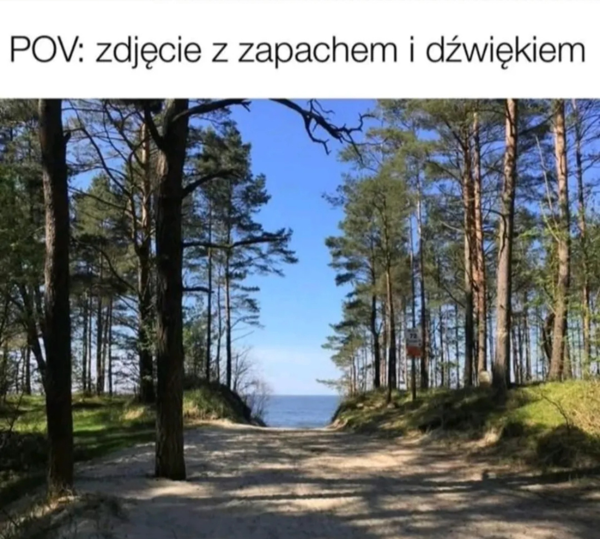 7d50afd0-4022-42e3-905f-b3aa7a598c1f