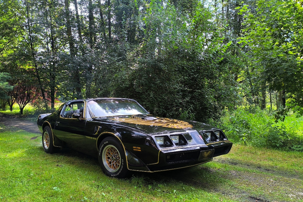 4fb74f7a-7b43-48bf-953c-6a270ee7c182