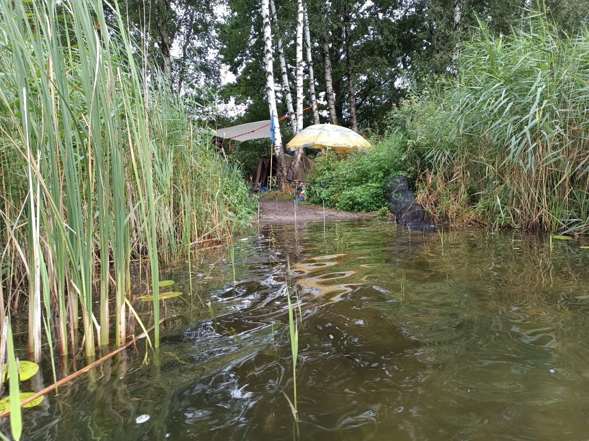 3b2a921f-be9d-4c53-be34-f4f2ed904f5b