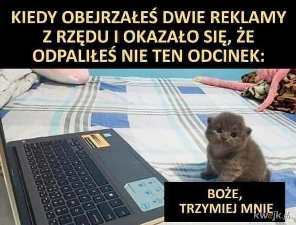 93e4c0d5-c8c9-4bb5-a10d-5bdf36b5e1f7