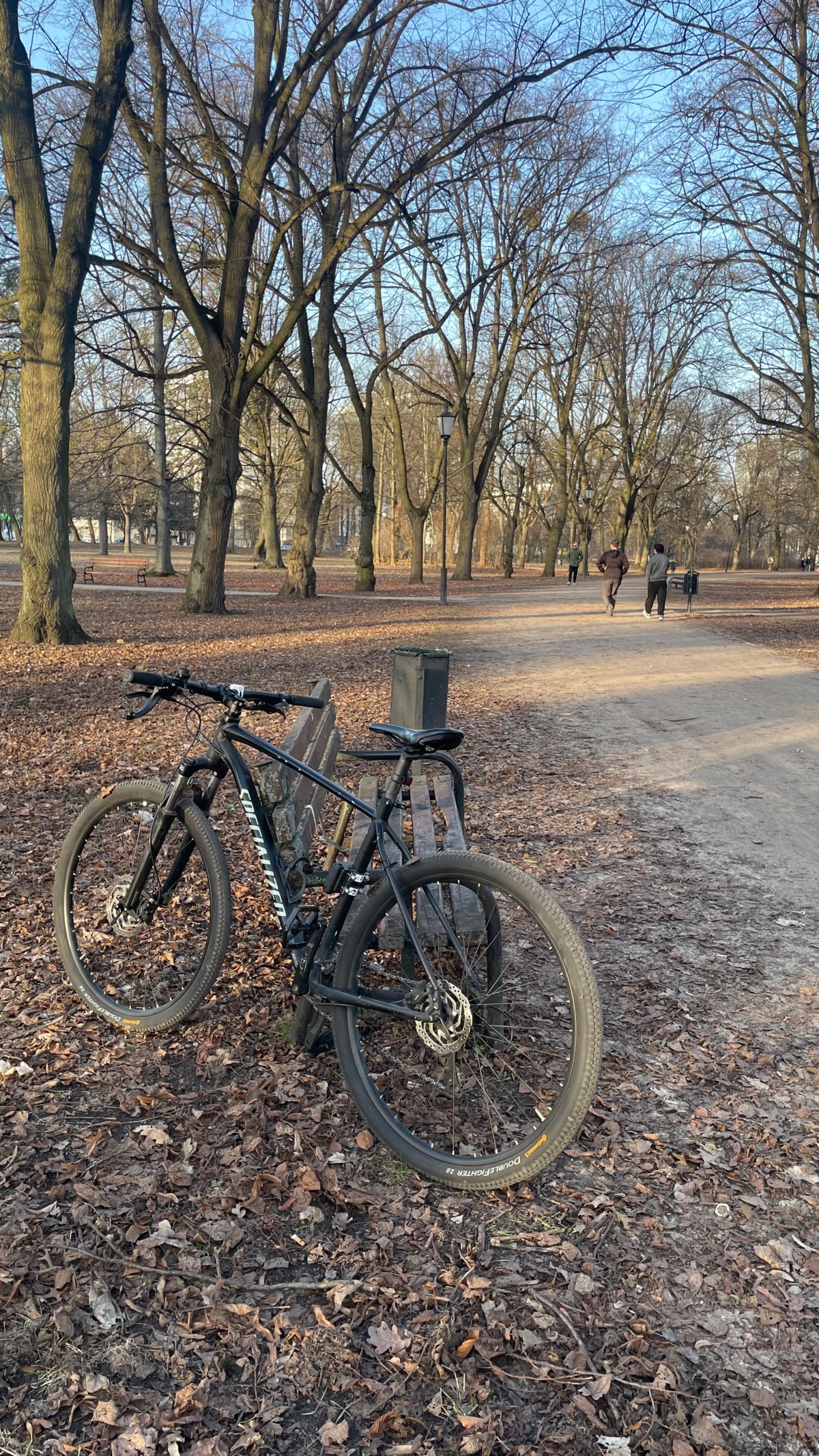 52817295-007b-4858-99a5-82c285cf7fc5