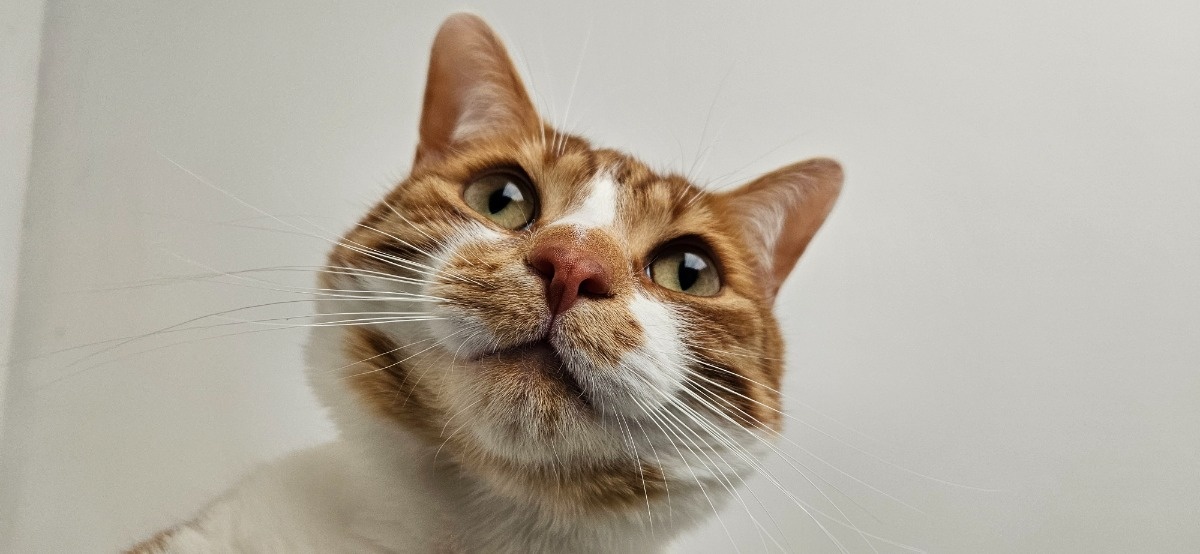 cde57eb2-c054-4641-871e-5c989af53770