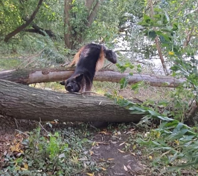 45e68795-8895-4c0c-bc4b-38c3e1c8535c