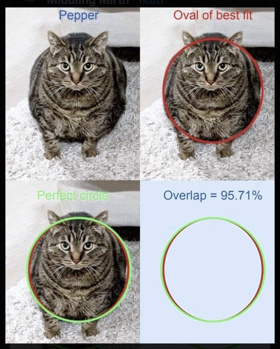 2f17dd15-392d-4cc6-b0f2-40515ea5ca71