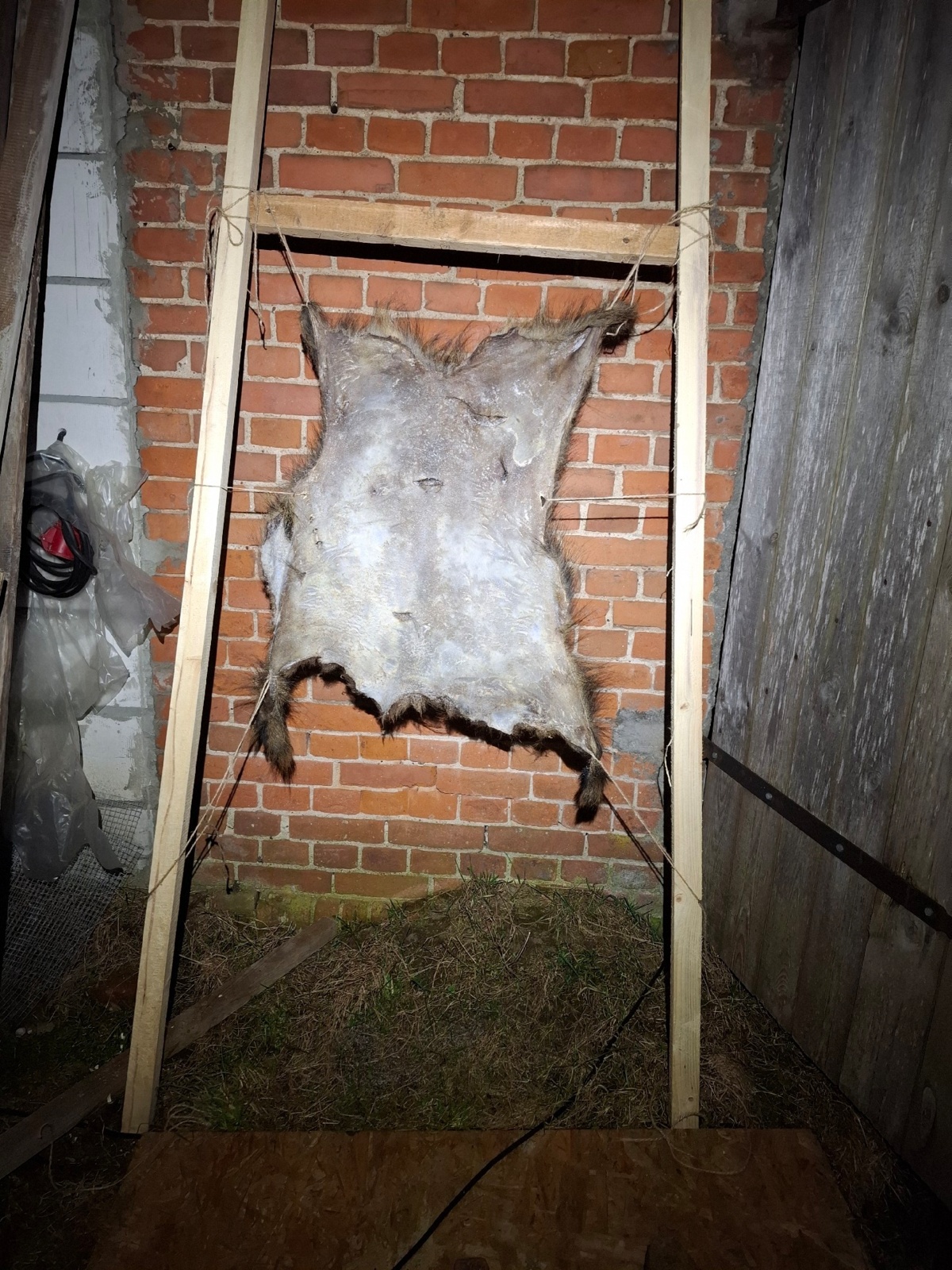 aaf9c3fa-7ed7-4b28-b411-a8cb7717b48a