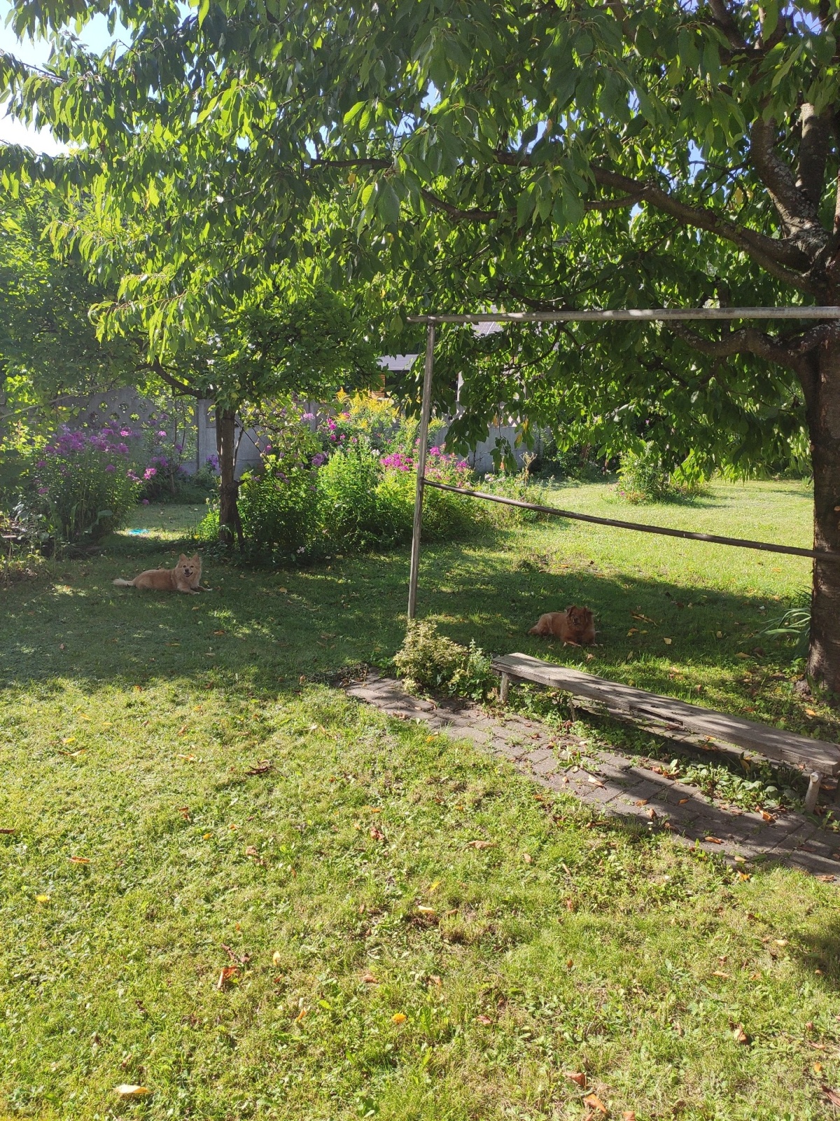 648e344e-222d-48e2-94ad-d82bdae730aa