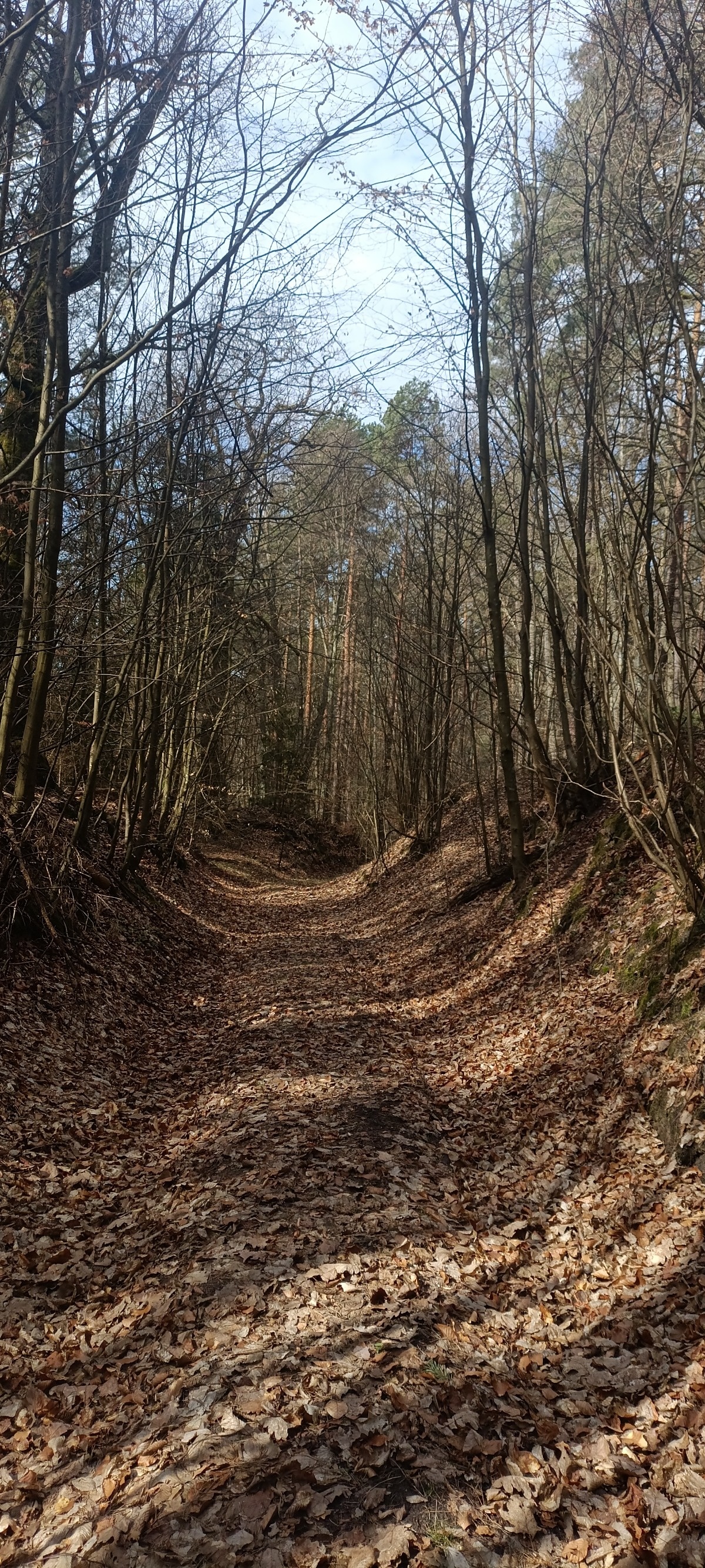 f54b3ae8-e616-4797-b01c-9f995da4c596