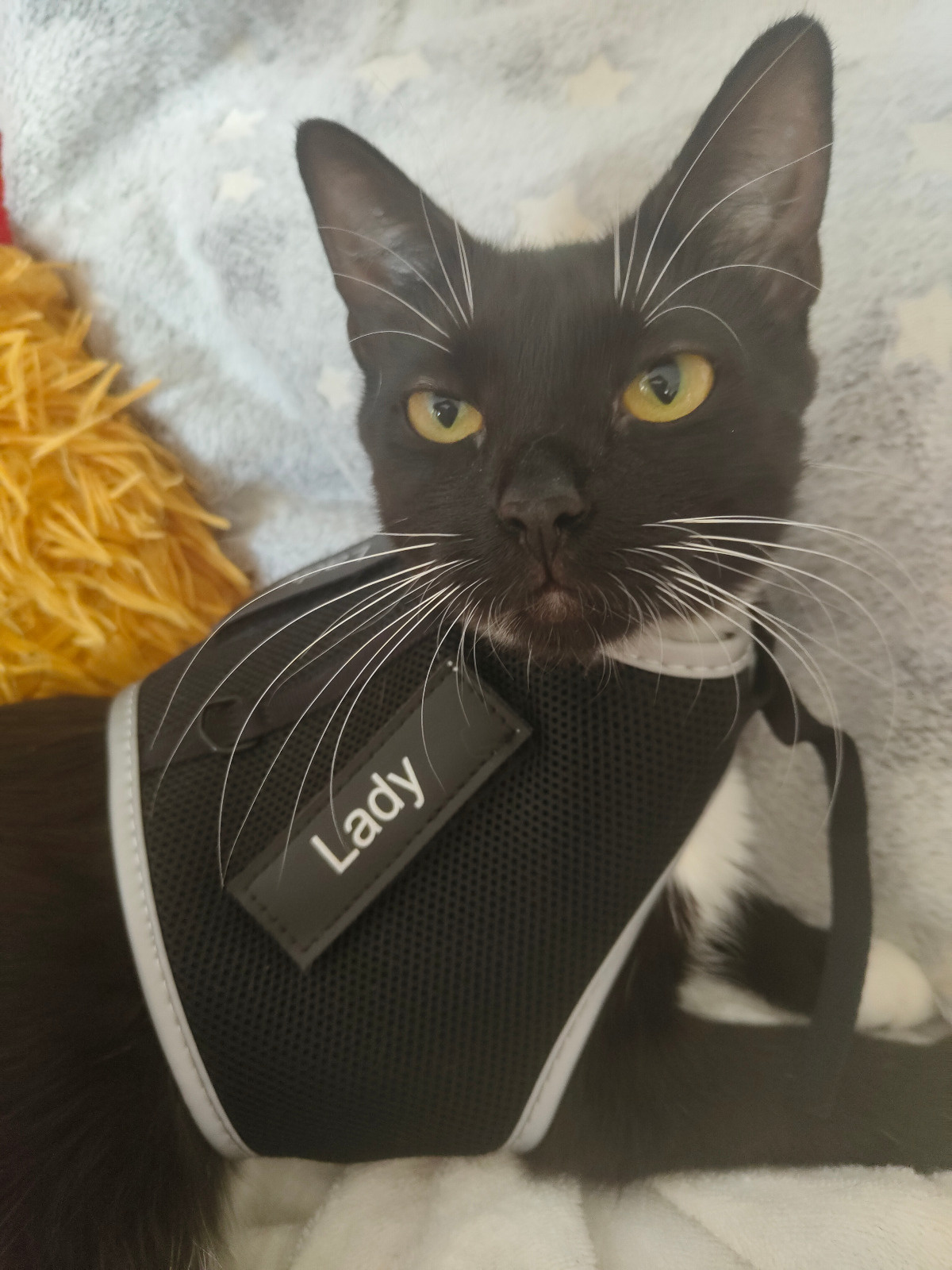 f1f0140a-9d98-40e8-bb2e-1b2f0afdc53e