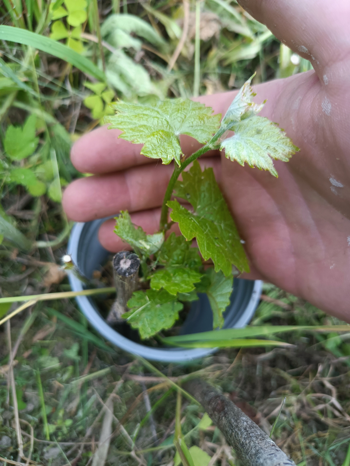 df78a92c-ad06-44de-852f-5930a1f59d0f