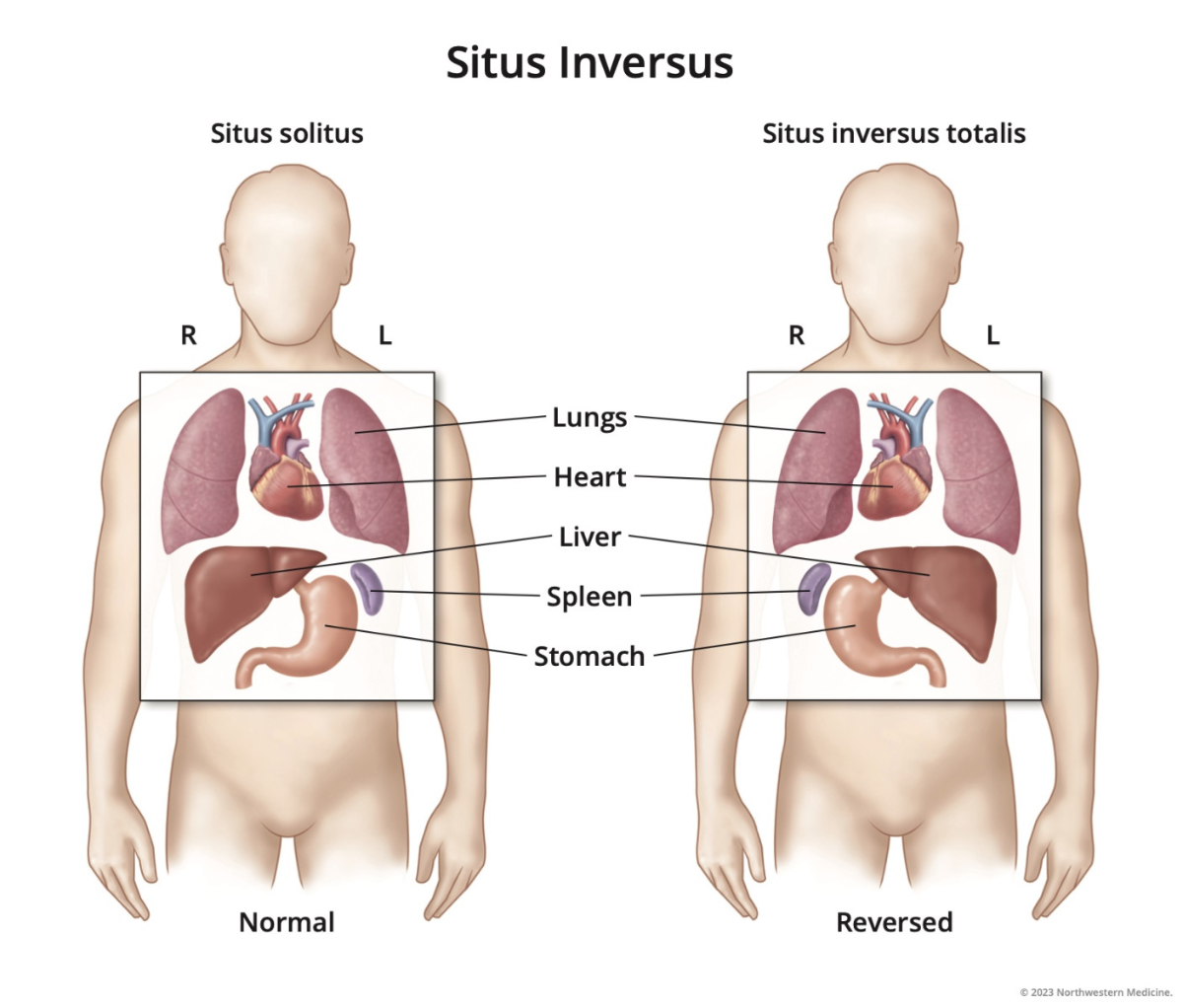 d9395822-a4ab-4e1a-8777-11e571117ff2