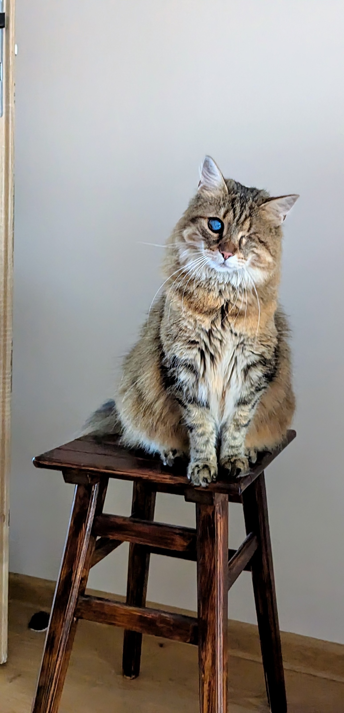 d5e6da76-1d2f-44b6-973a-2551a31b1252