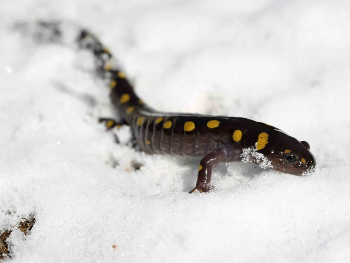 91328ba5-8e9d-4600-a45e-2d9b7c6609c5