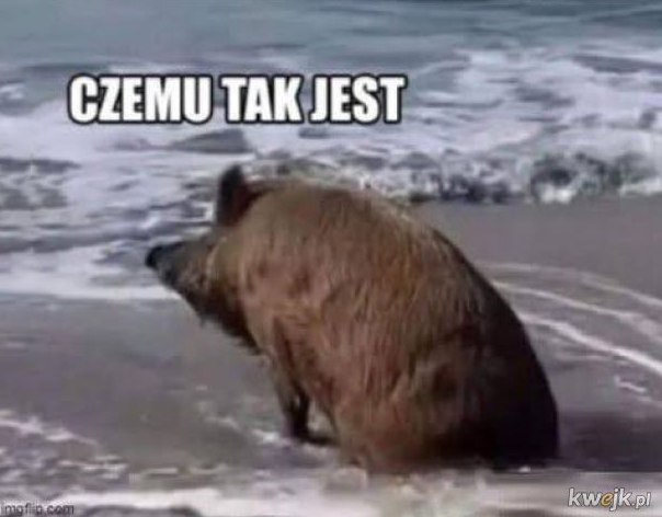 33274a1d-510e-40a7-850a-9fcca4a2ae6c