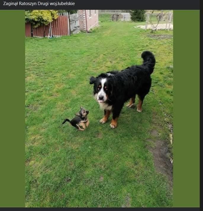 4715aabe-bc06-42bf-89b4-5785becd6dbb