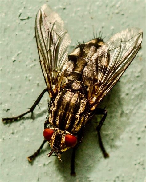 b17212d3-9f66-4950-98c1-8ef2600dc15e