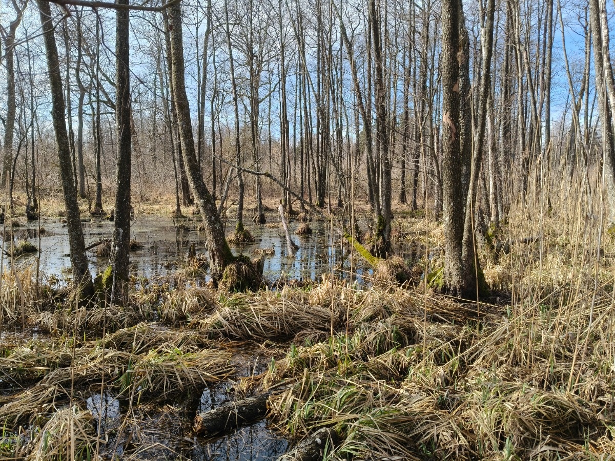 91af15f1-8614-4388-b3c9-004109e2d8d1