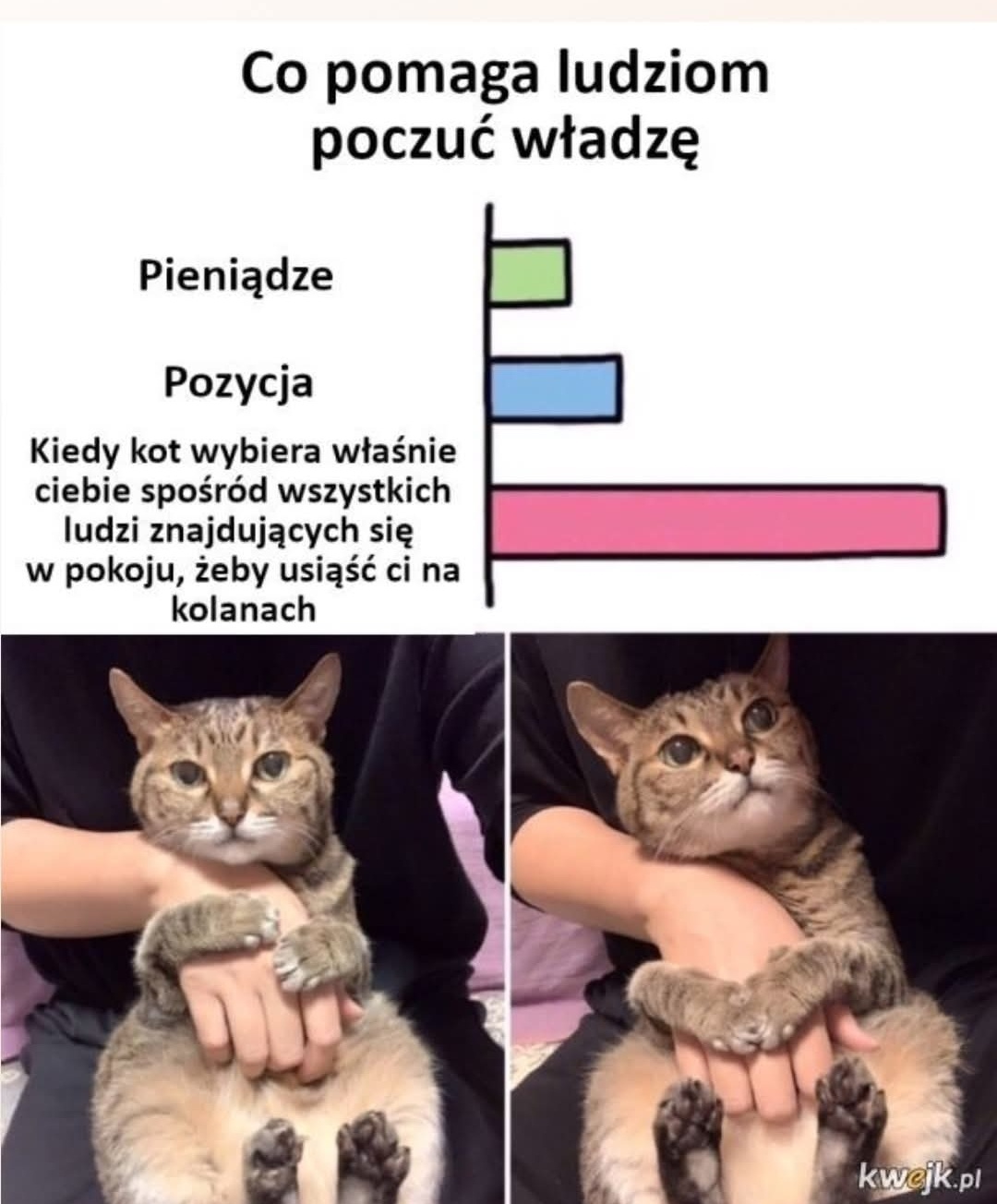 2ec2c4c3-8589-4d40-a129-305777e78895