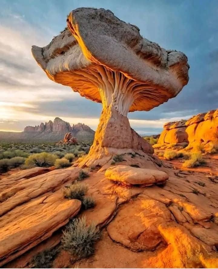 776da80c-bcef-429e-9d26-07c973f6a45d