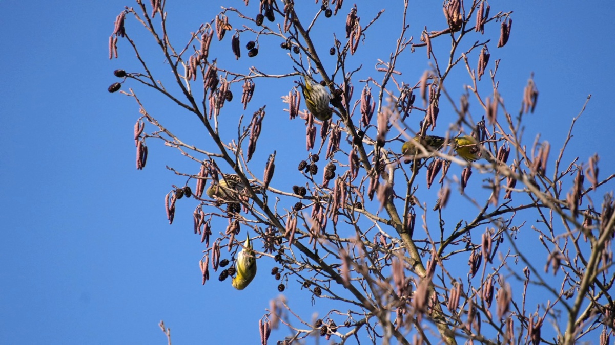 b9ccb761-7ba5-497b-b926-216e30a0f433