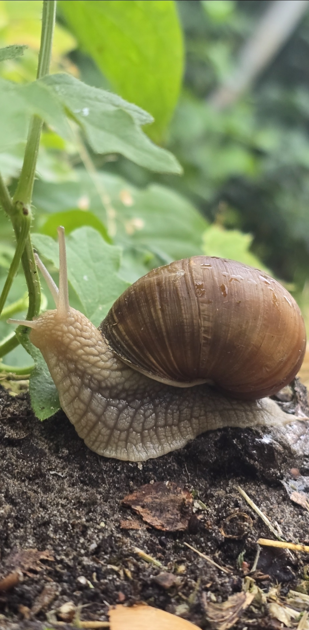 6bd367f6-37b9-41b7-bd63-5d9200656d35