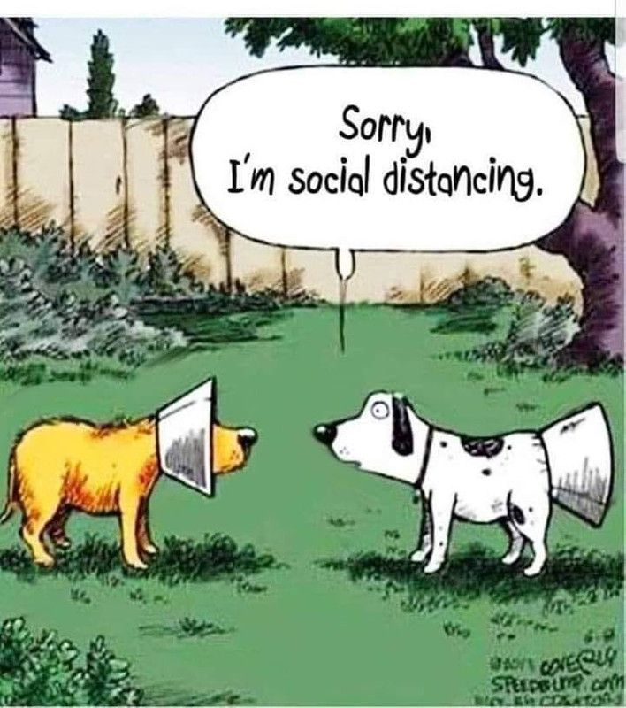 f37cd561-5bdb-478a-853d-a0093566dacb