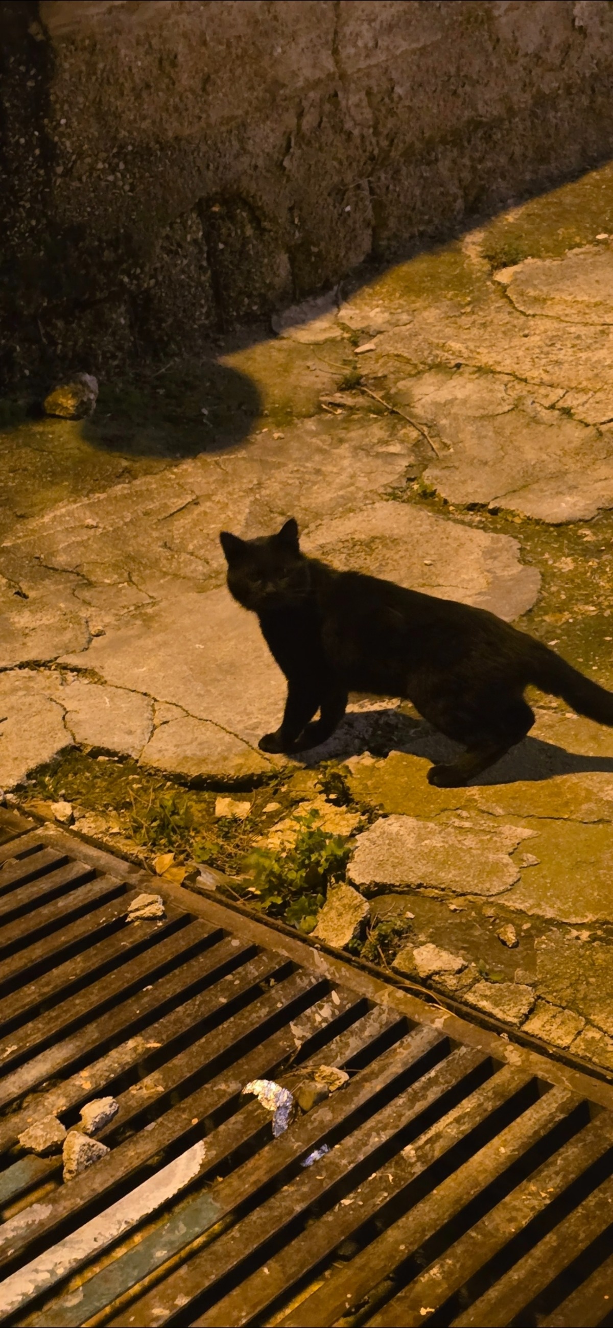 8a3bbdd2-6827-4261-ad8a-838b108a60a2