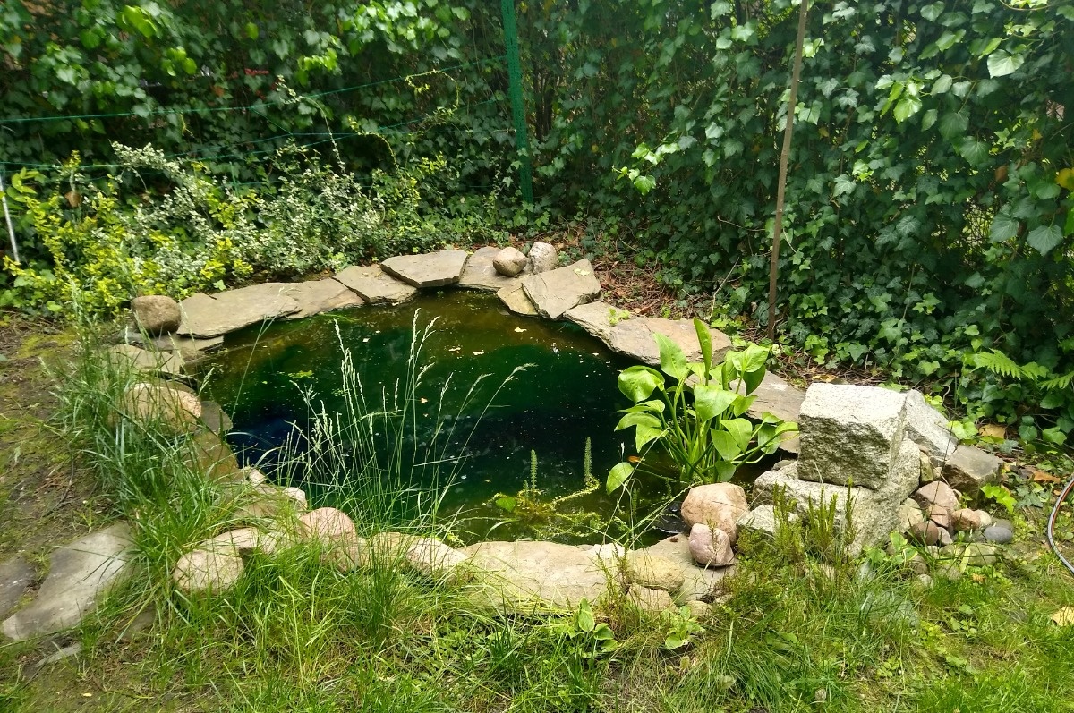 ff2e754b-5678-4ddd-bf5f-1a048015447d