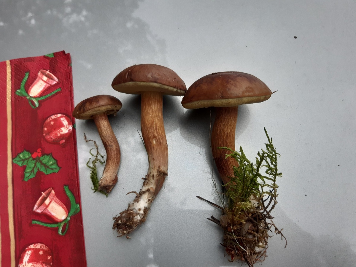 cdfb69a9-29ea-4d59-99c4-f4eed50763c9