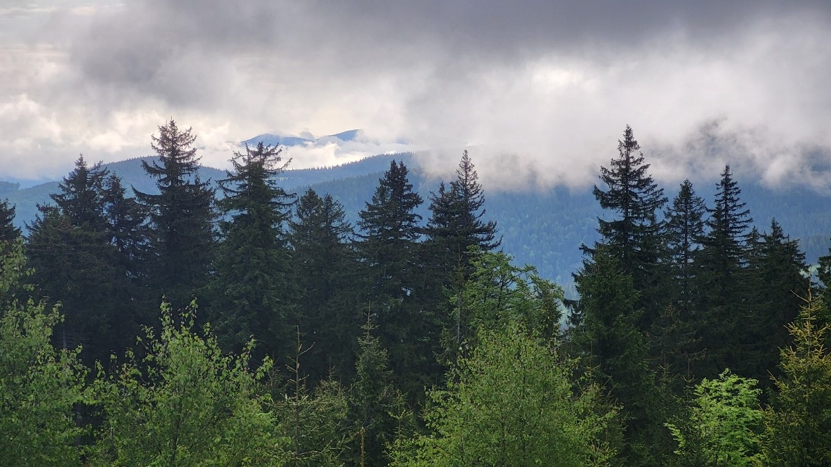 26457f37-00b4-4008-afc6-a149507a25ed