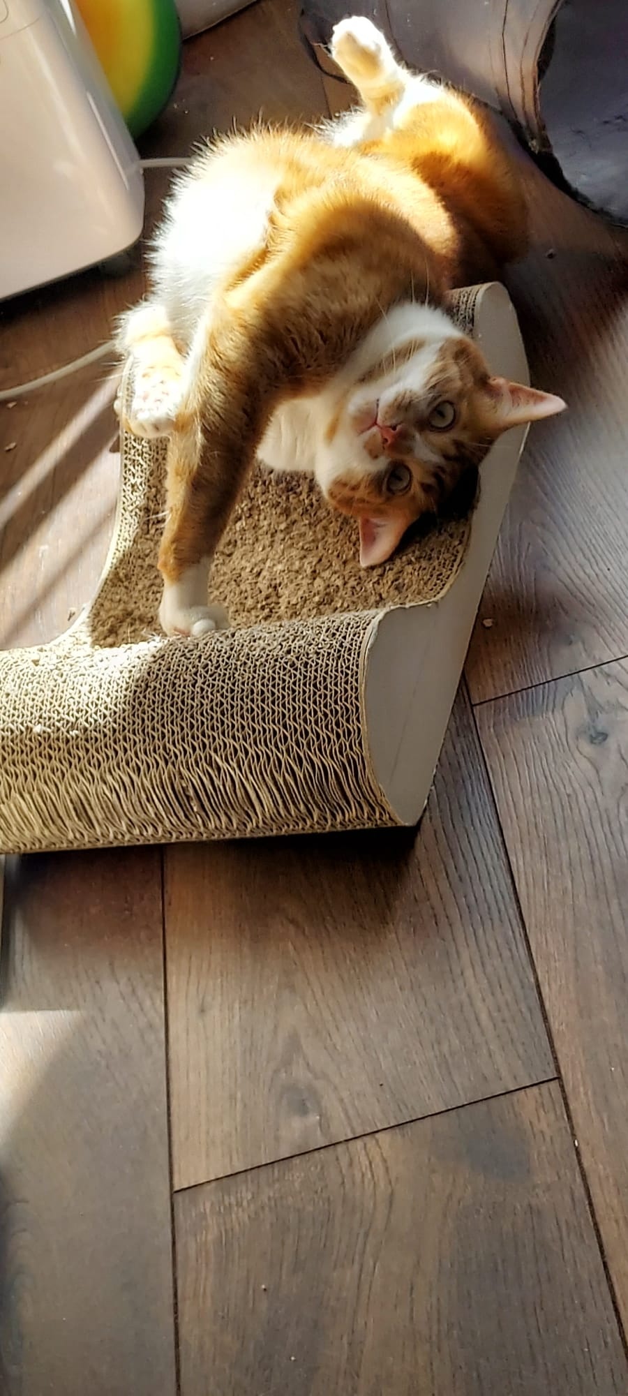 b56421fd-22ca-452a-8a3e-fee8ab899497