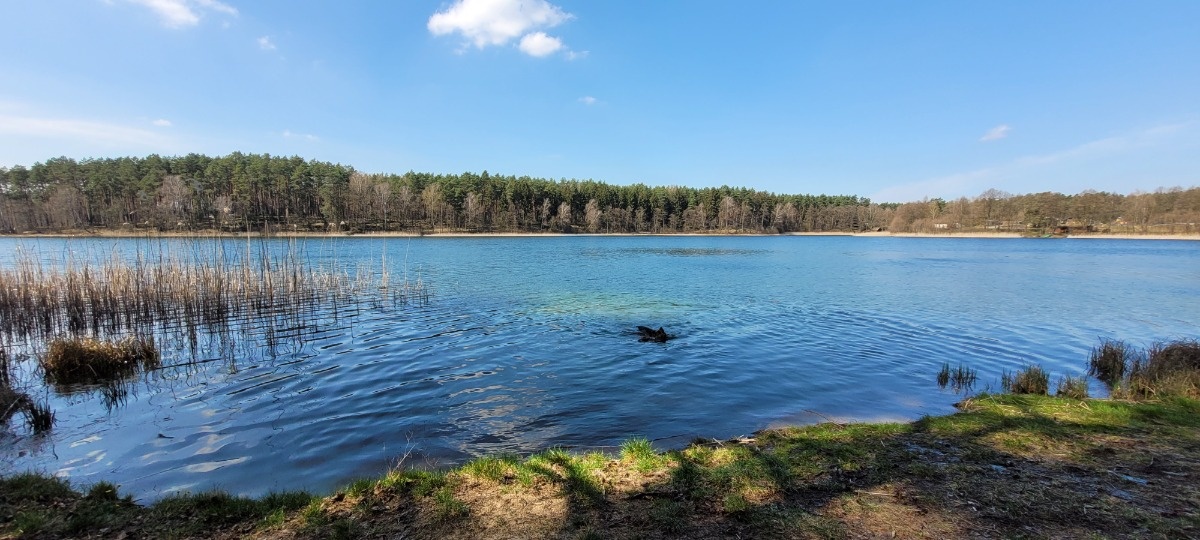 e91659e2-1910-4d8d-b7ef-3e85bfc163c1