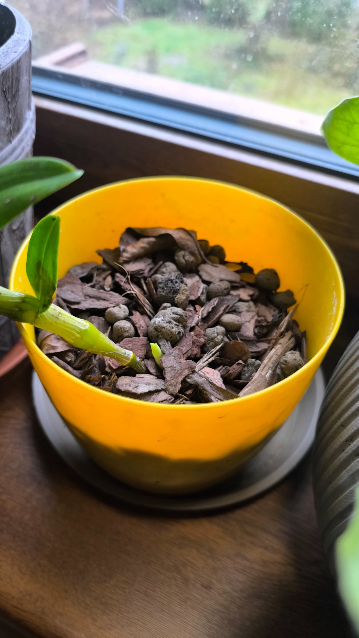 3dc1e1f2-1f57-4c15-8f21-c53bfe0b449e