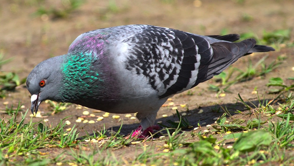 18508f72-15d5-4730-a0b6-69eaa5f43d7d