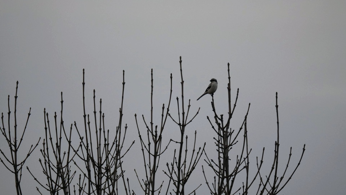 f2990ce1-e576-4421-88df-059208519e7b