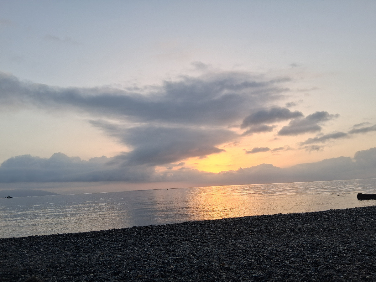 3c767c8a-69b9-4bc6-9fba-820bf28e1a80