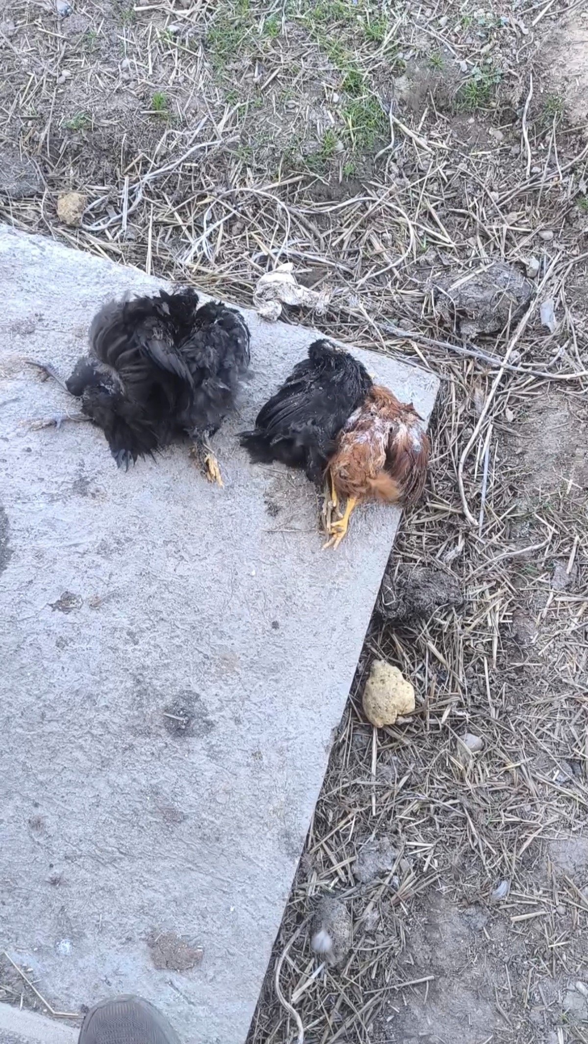 abadde84-8475-4dec-b921-06f89a337150