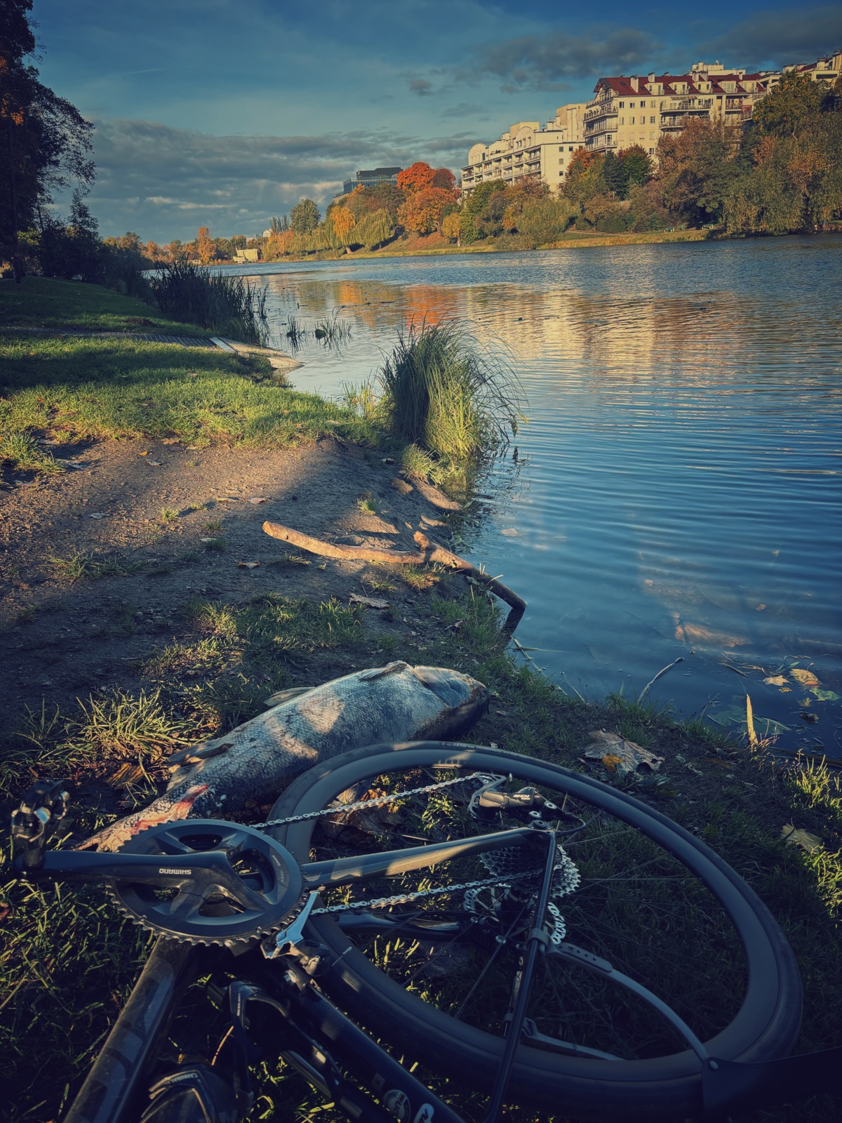 ae0f6554-99aa-4f76-a5d5-fdf20cac3e35