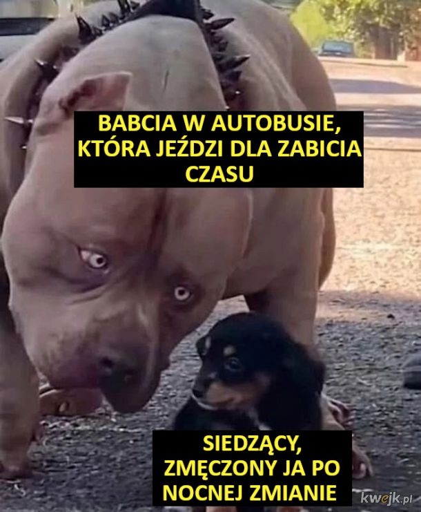 443e4077-34bc-40e3-9cdf-59c7ce79e99e