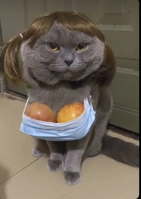 e2a47bfd-e717-4cca-99f3-c716c139b901