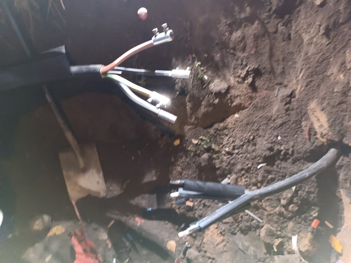 312986c3-ec96-4774-ba61-648b844ddaa7