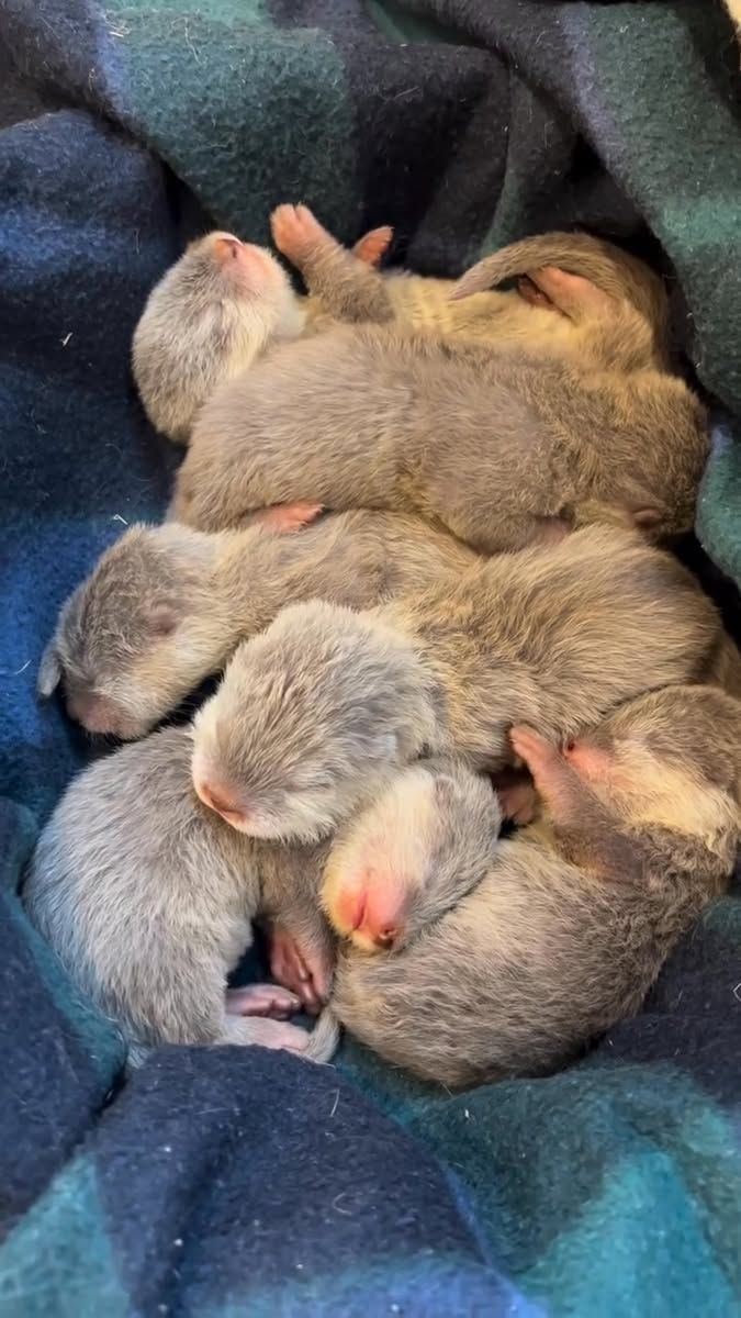 0c260689-0ba4-4566-8be6-37a1430df45a