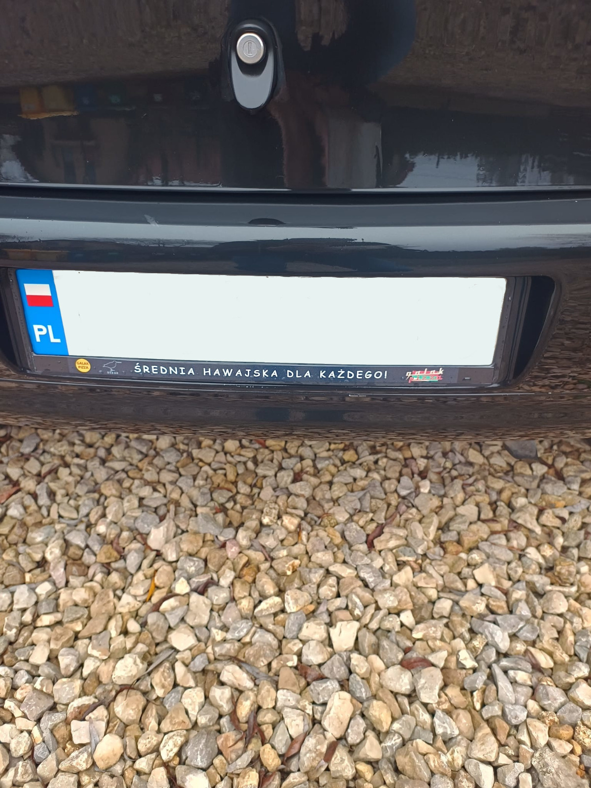 f0a9ee9a-f5d0-4527-a75e-30f115bfd4a6