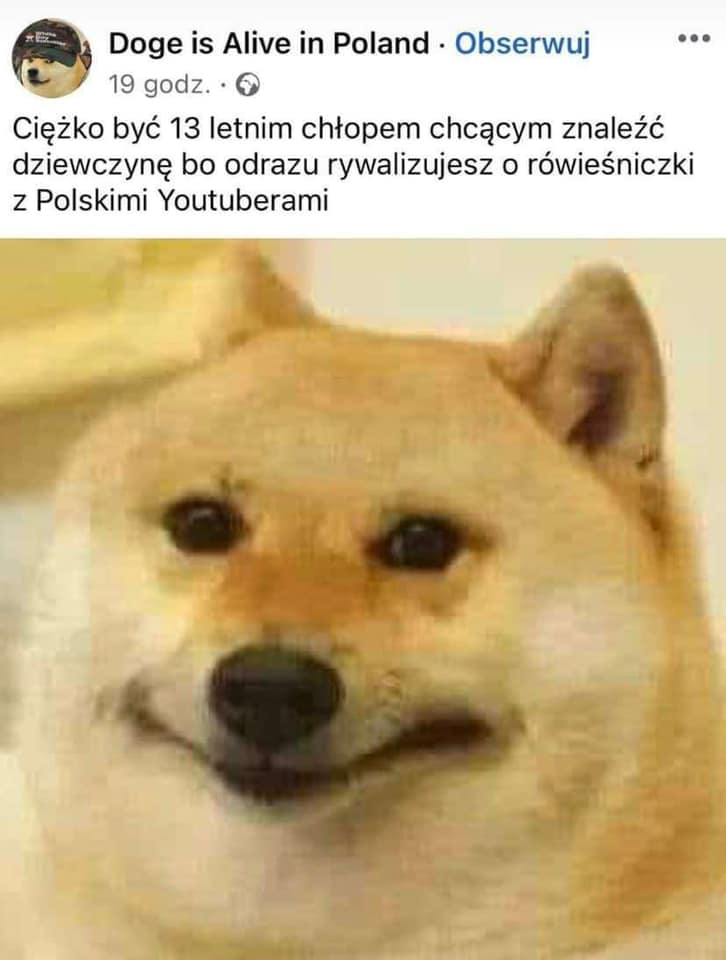 520582c4-9493-495a-9af1-8ef144a50df2